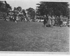 John Williams Flower show at Shakespeare Hall, date unknown