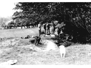 Country Pursuits