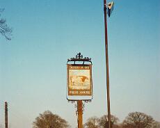 Shrewley01_0007a Durham Ox