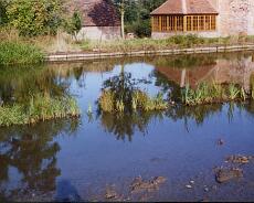 Wharf cottage 21