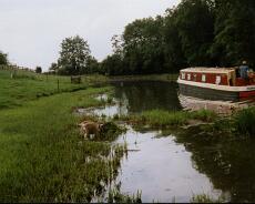 Wharf cottage 27