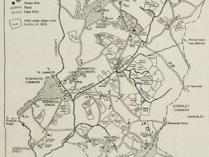 Maps