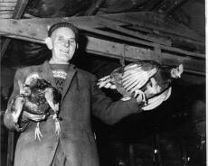TEW02726462_00041-1 George Reeve at Meadow Hill Farm
