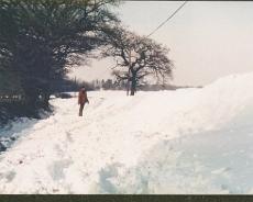SCAN0441